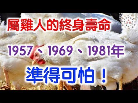 1981 屬|【81年屬】超強解密！1981年屬雞是什麼命 格局如何全解析